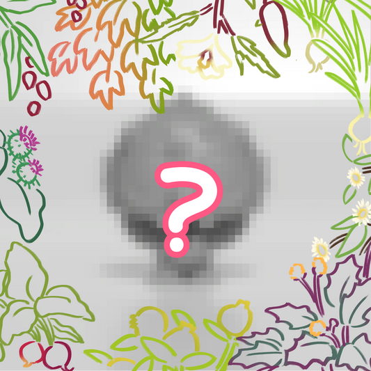 Fifth Crop Grab Pack